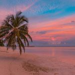 ביטולי עגינות בברמודה בשל המשך הדרישה לבדיקות קורונה