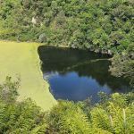 קרוז מאורגן של גולדן טורס לאוסטרליה וניו זילנד: חלום בקצה העולם