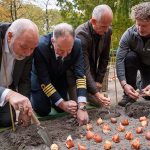 הולנד אמריקה ליין: צבעוני בלעדי חדש לחגיגת המורשת ההולנדית