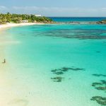 טרגדיה באי הליזארד: נוסעת בת 80 נותרה מאחור ומתה