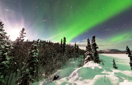 הפלגות הזוהר הצפוני: מסע אל הלב הארקטי השלו