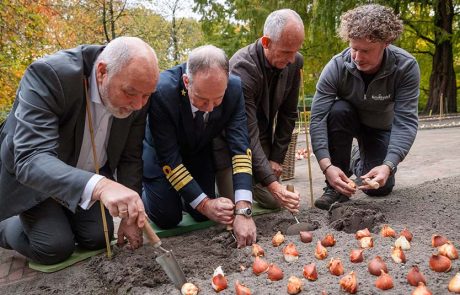 הולנד אמריקה ליין: צבעוני בלעדי חדש לחגיגת המורשת ההולנדית