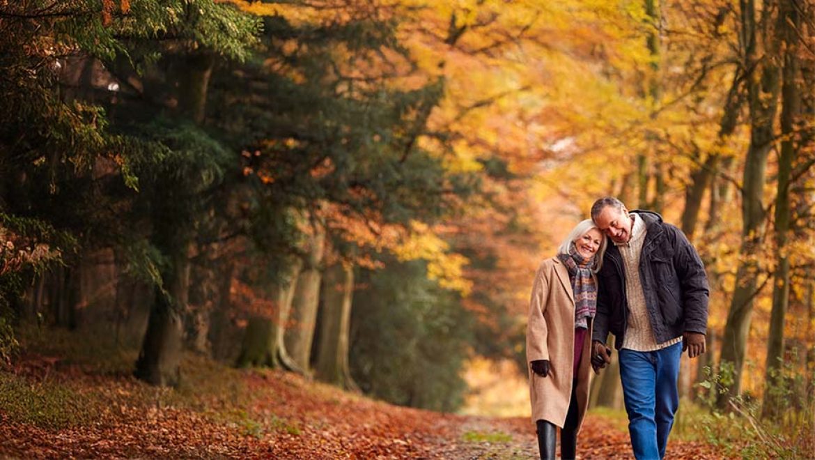 הפלגות פרינסס בקנדה וניו אינגלנד 2027. צילום פרינסס קרוזס פרינסס בקנדה וניו אינגלנד 2027: קסם שלכת, היסטוריה וחופים