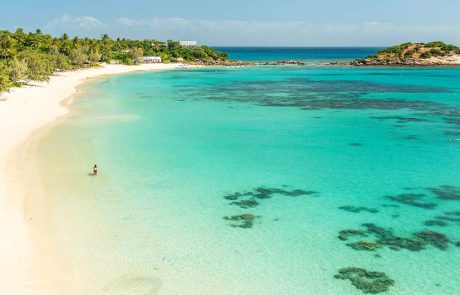 טרגדיה באי הליזארד: נוסעת בת 80 נותרה מאחור ומתה