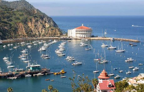 דיסני קרוז ליין זוכה לגישה מועדפת לאי סנטה קטלינה